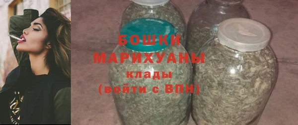 индика Бронницы